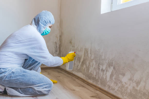 Mold Remediation specialist working in Catlett